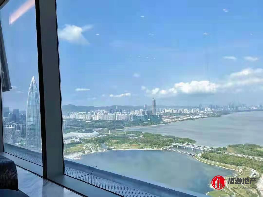 深圳湾一号再现楼王放盘，40多楼，270度景观，看深圳全景，人才公园尽收眼底。